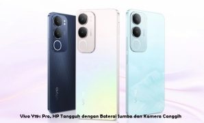 Vivo Y19s Pro